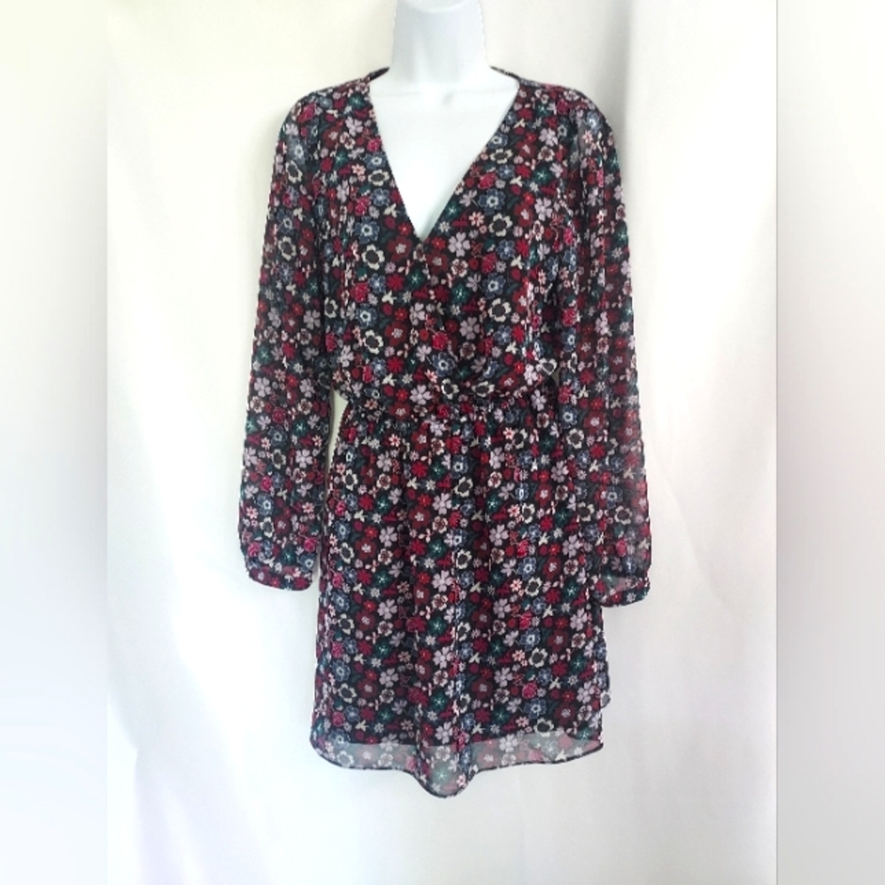 Express Floral Body Lined V Neck Fall Dress